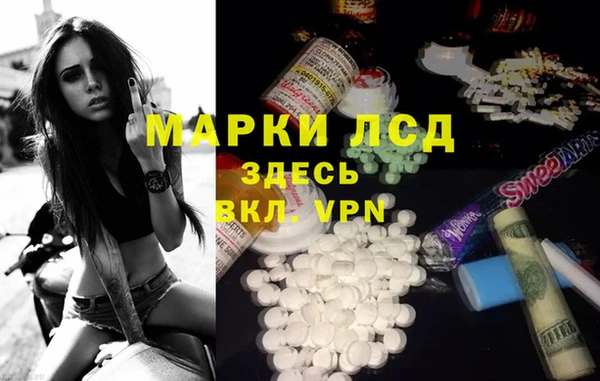 ECSTASY Богданович